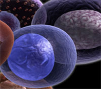 biohazard cleaning and trauma clean